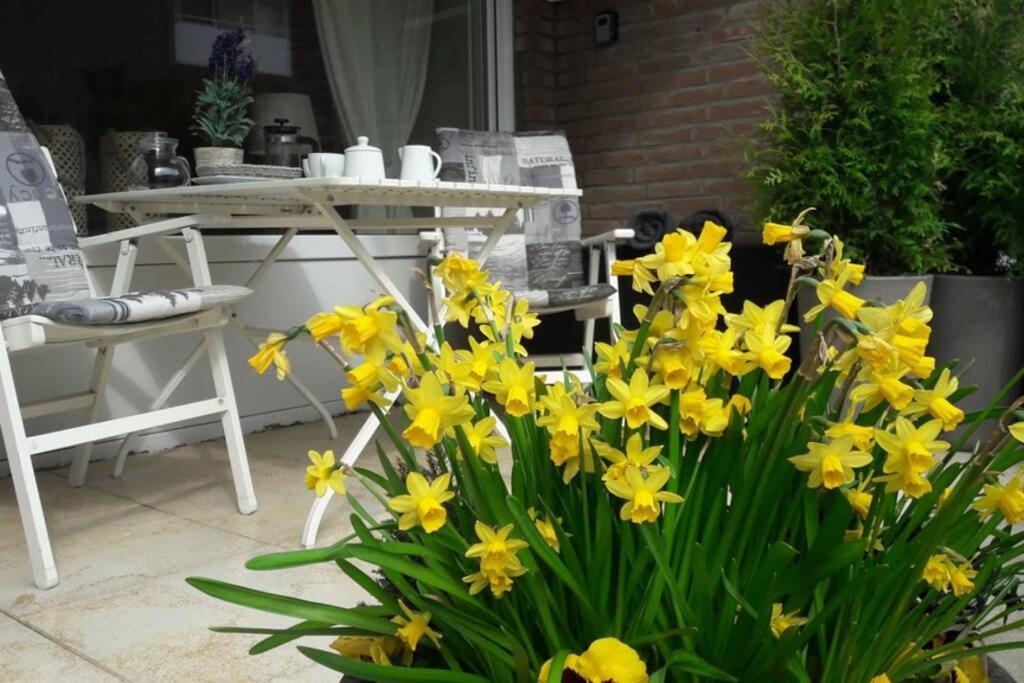 1 Zimmer Appartement Cap Arcona Neustadt in Holstein Exterior photo